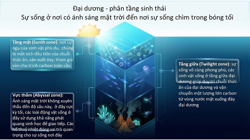 Ocean Literacy Slide3B