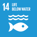 SDG 14: Life below water - Conserve and sustainably use the oceans, seas and marine ressources for sustainable development