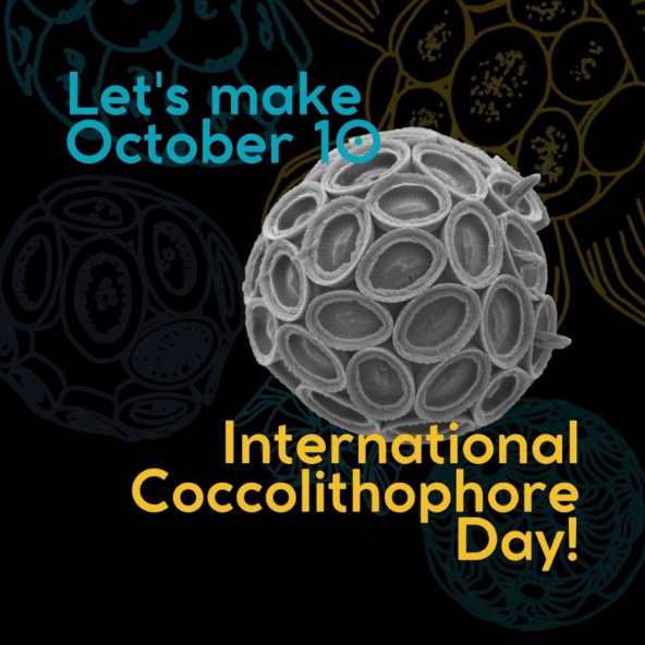 Tao Coccolithophore 7